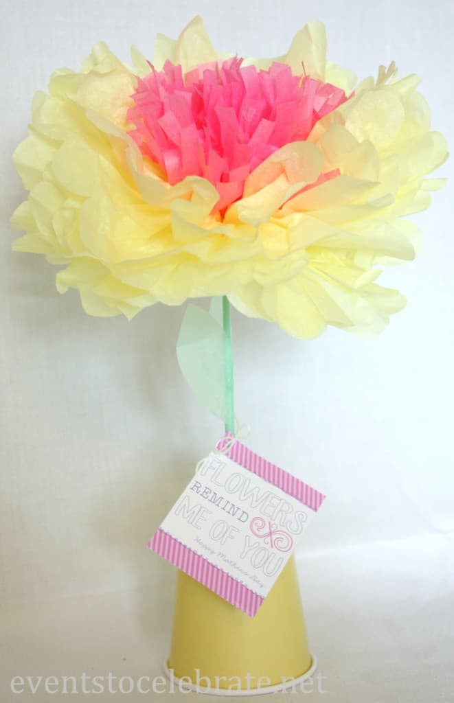 Tissue Paper Flower - Mother's Day Gift