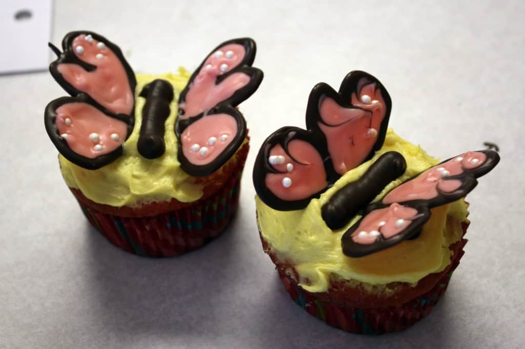 Chocolate Butterfly cupcakes