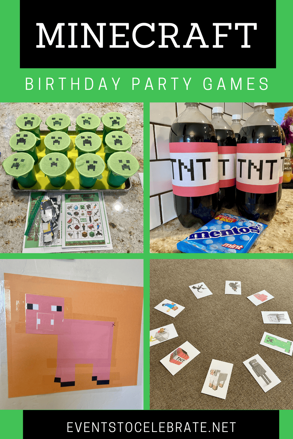 Minecraft Birthday Party Ideas Party Ideas for Real People