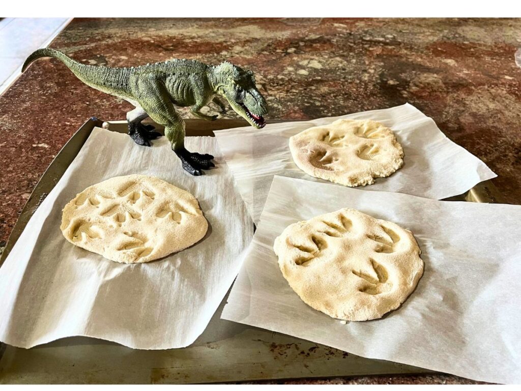 toy dinosaur looking at the baked salt dough fossil craft