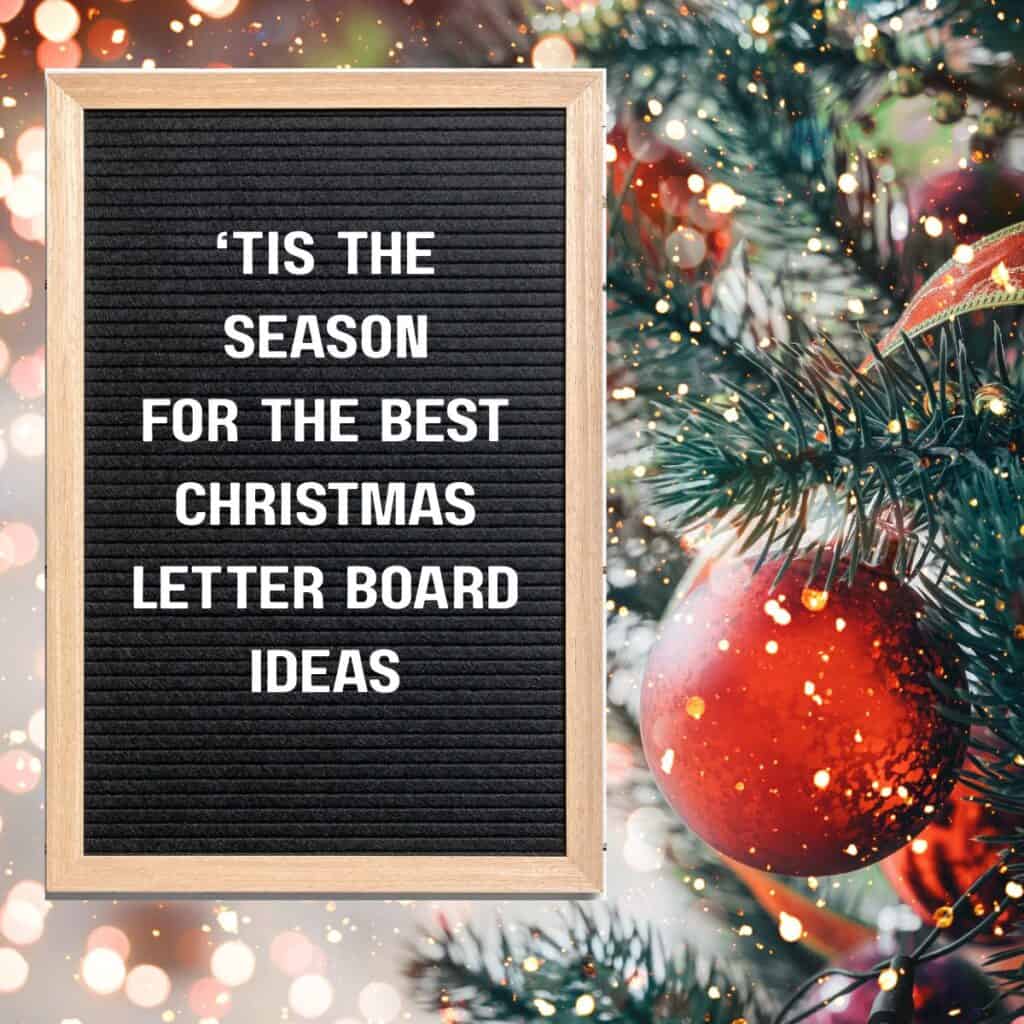 Christmas tree background with a Christmas letter board that says, "'Tis the season for the best Christmas letter board ideas."